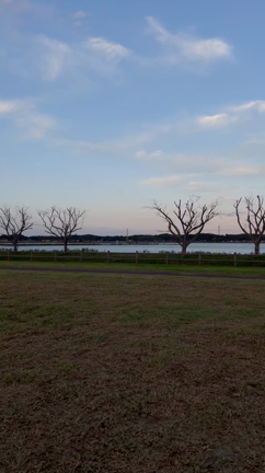 小美玉市花火大会の記事動画