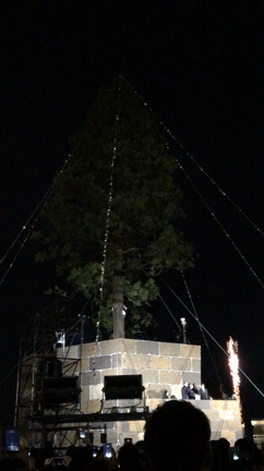 神戸メリケンパークの点灯式☆の記事動画