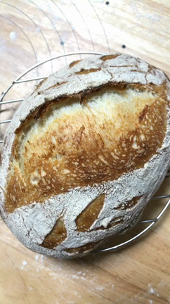 くるみパンとカンパーニュとおでかけとの記事動画