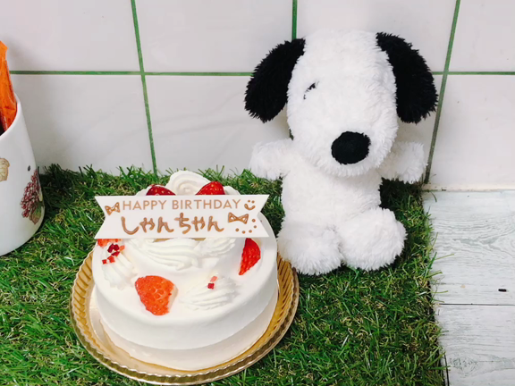 2020年‼️ラスト‼️の記事動画