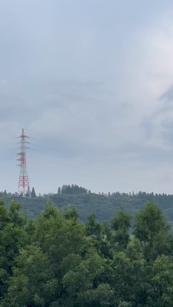 自然の力の記事動画