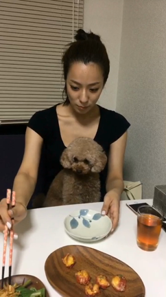 膝の上。の記事動画