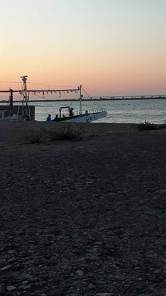 2021/04/22の記事動画