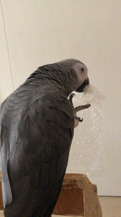 ポーセラーツでアクセサリー作りの記事動画