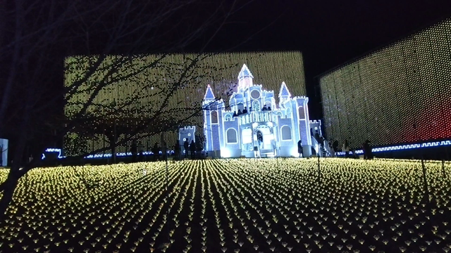 イルミネーション見てきましたの記事動画