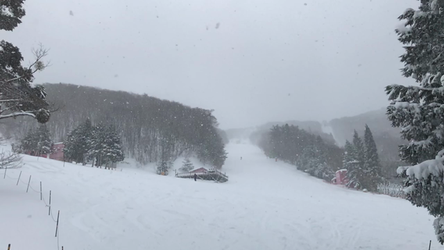 良い雪フルル☆*:.｡. o(≧▽≦)o .｡.:*☆の記事動画