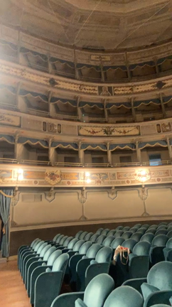 ゆめのかけらの記事動画