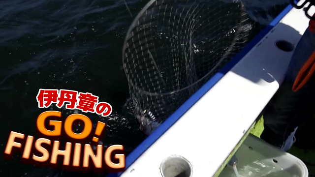 タチウオジギングの記事動画