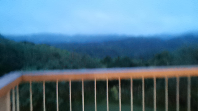 【沖縄旅行2023春.11】深い亜熱帯の森の暗闇の中で僕たちは、その声を聴いた。の記事動画