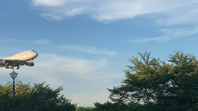 さくらの山公園の記事動画