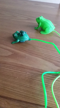 あのピョコピョコカエルをやらせたくて 笑 ゆみ氏 のヲタヲタ日記