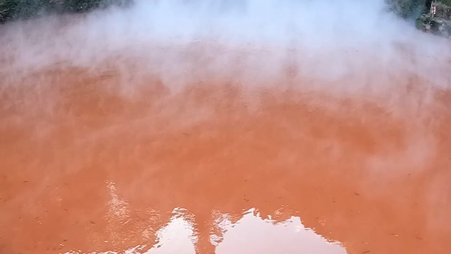 111♌︎宮の聲を聴き賜う♌︎111の記事動画