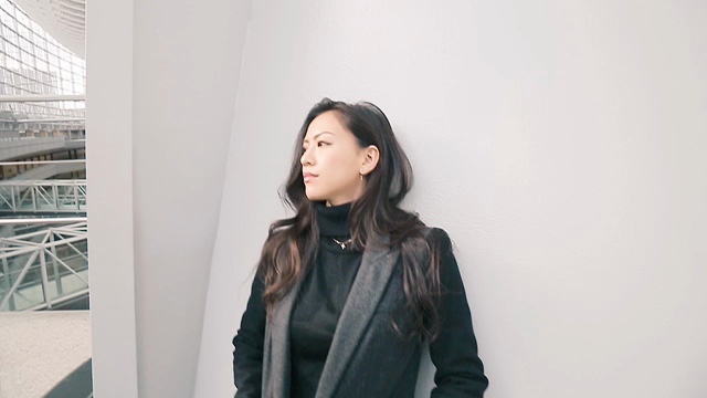 こちらはまだ2016年。の記事動画