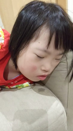 夏休みのヒトコマの記事動画