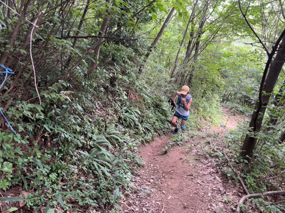 6回目（？）のMJ20開催！スタートの記事動画