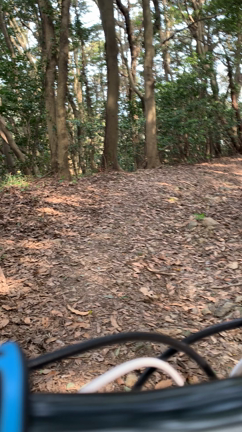 トレイル？の記事動画