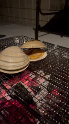 助産院の助産師のオンコールの日の記事動画