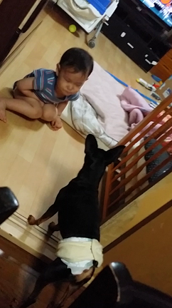 せんとこた二人は仲良し♡の記事動画