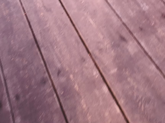 クエ続々と‼️そして更にクエ追加‼️の記事動画