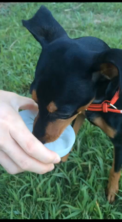 汚い話の記事動画