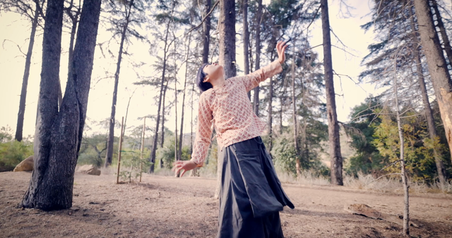 チャネリング祭り⑤の記事動画