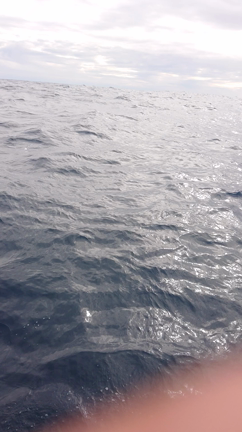 １月１８日　　ビンチョ～ジギング乗り合い便の記事動画