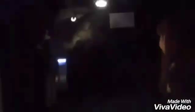 【富士五湖】動画 その③の記事動画