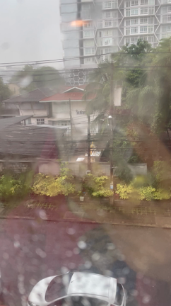 今日は雨が降りましたの記事動画