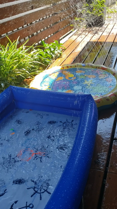 プール開きしましたの記事動画