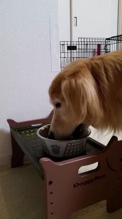 怖かった…の記事動画