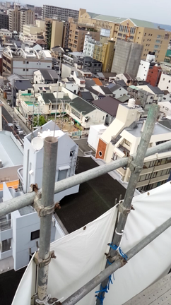 いたた…の記事動画