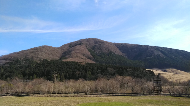 地球主体地球くらぶ環境命守り持続循環∞の記事動画