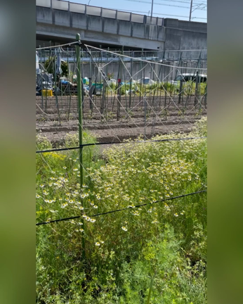 【食べる事は生きること】の記事動画