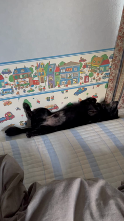 久しぶりの投稿の記事動画