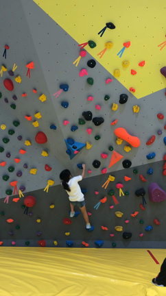 ノボルト　(*´▽｀*)の記事動画