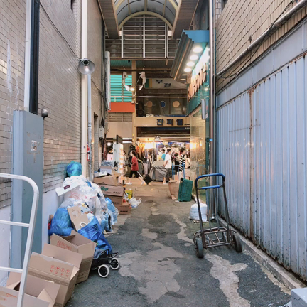 お久しぶりです❣️の記事動画