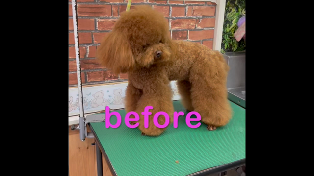 before →afterの記事動画