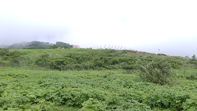 近畿五芒星　伊吹山への記事動画