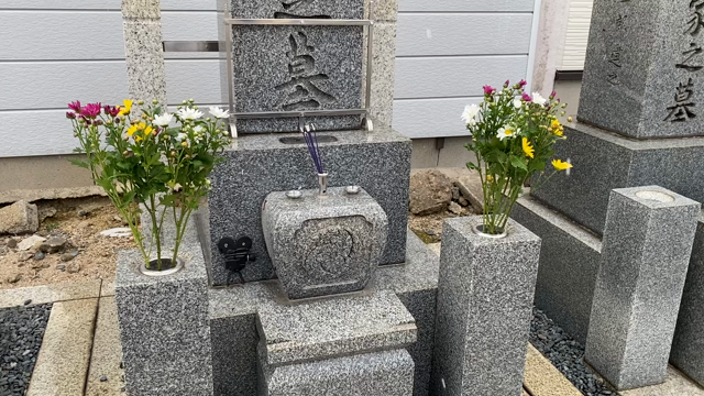 あられやコンコンの記事動画