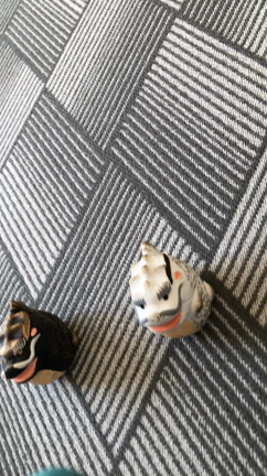 あなたの龍神様は？の記事動画