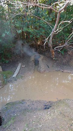 2019大分県旅行⑦(かまど地獄)の記事動画