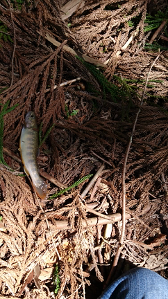 福利・親睦行事等の記事動画