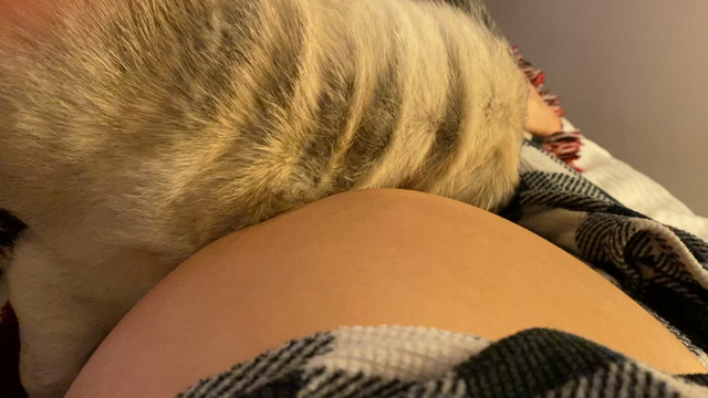 暖かさを感じる写真/お腹の中のナユタとマフィンの記事動画