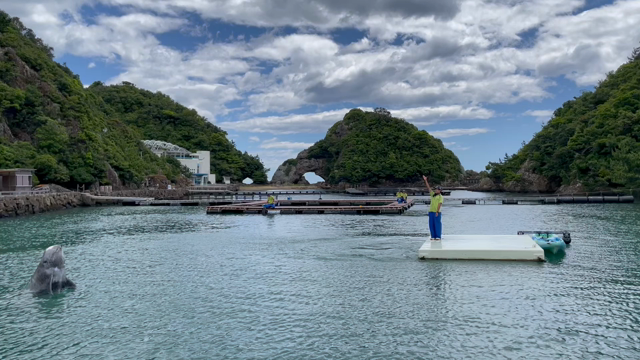 くじらの博物館まで歩きの記事動画