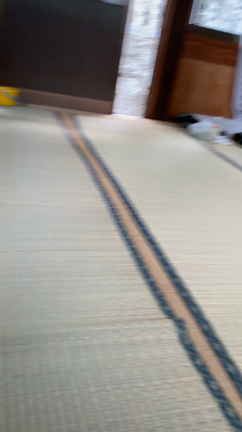 芦名神楽の記事動画