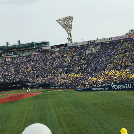 行ったことのある観光地の写真の記事動画