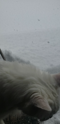 臨時休業。の記事動画