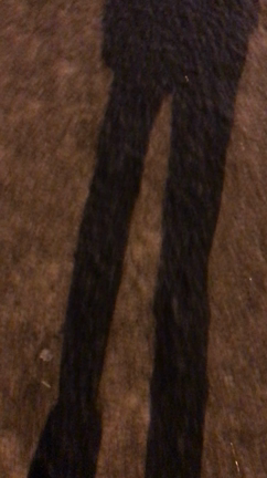 大粒の結晶雪の記事動画