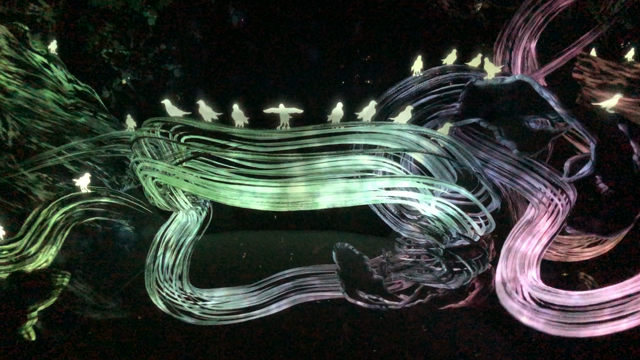 チームラボボーダレスお台場の記事動画