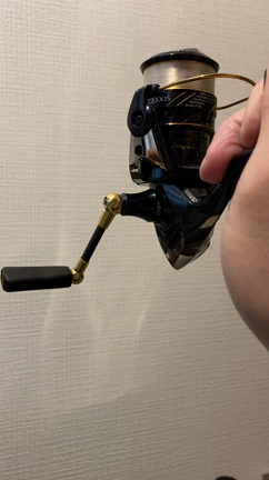 TDイグニス2004c  オーバーホールの記事動画